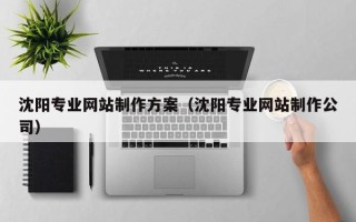 太康沈阳专业网站制作方案（沈阳专业网站制作公司）